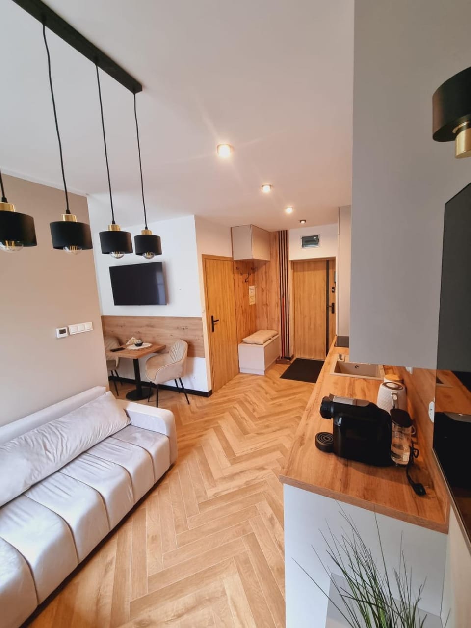 JEDLINA Park Apartment in Lower Silesian Voivodeship