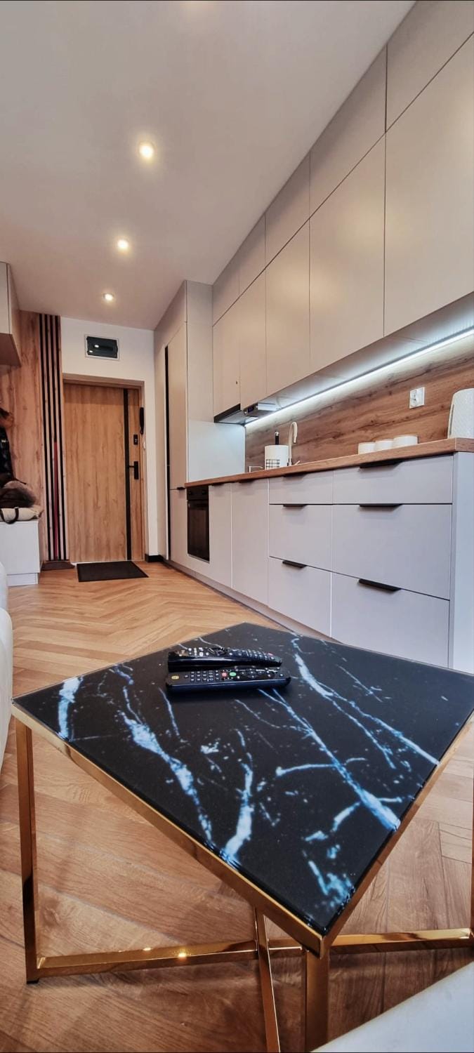 JEDLINA Park Apartment in Lower Silesian Voivodeship