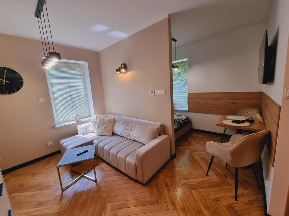 JEDLINA Park Apartment in Lower Silesian Voivodeship