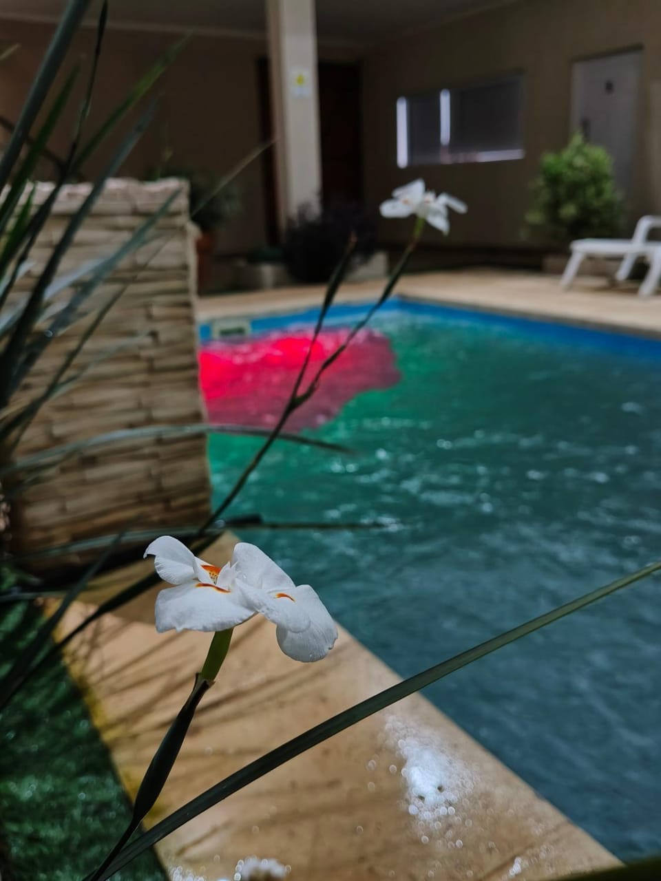 Studio Lapacho Apartment in Puerto Iguazú