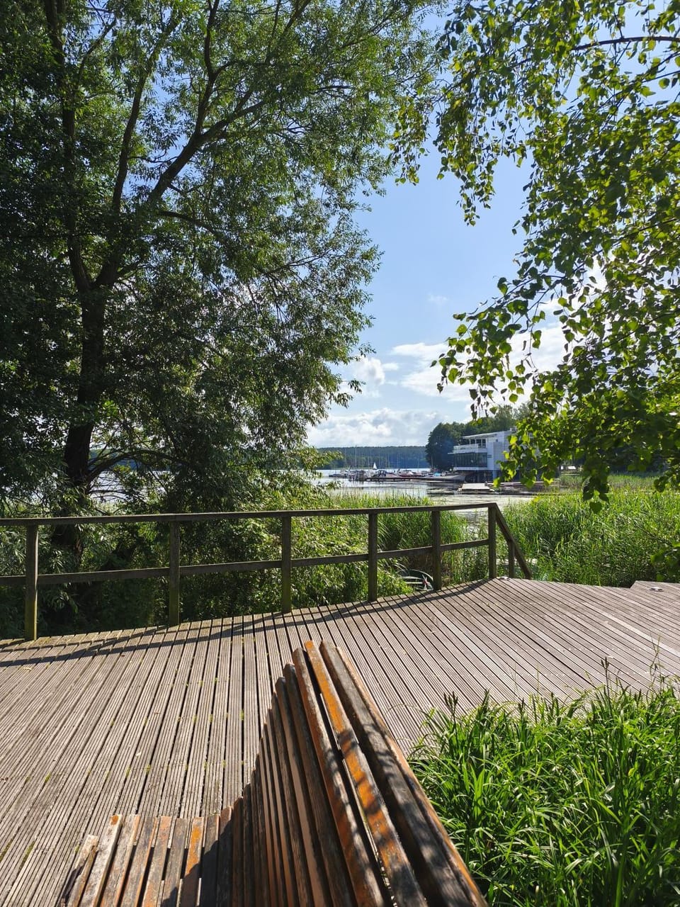 Lake view
