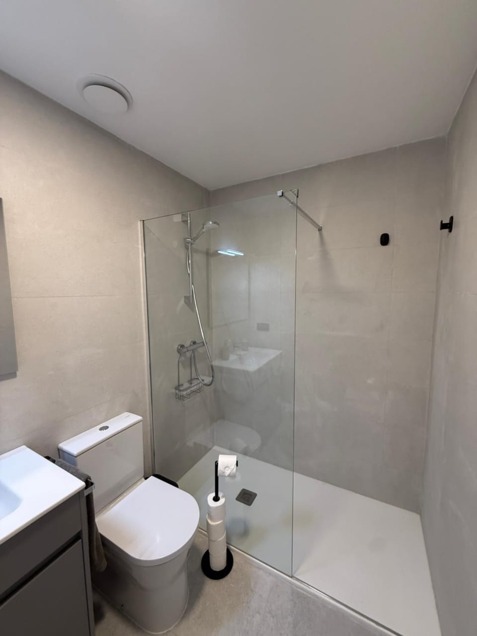 Shower, Toilet, Bathroom, towels