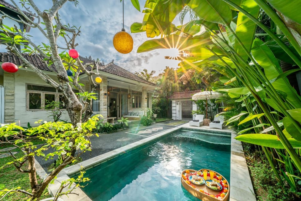 Property building, Spring, Day, Garden, Food and drinks, Food, Garden view, Pool view, Swimming pool