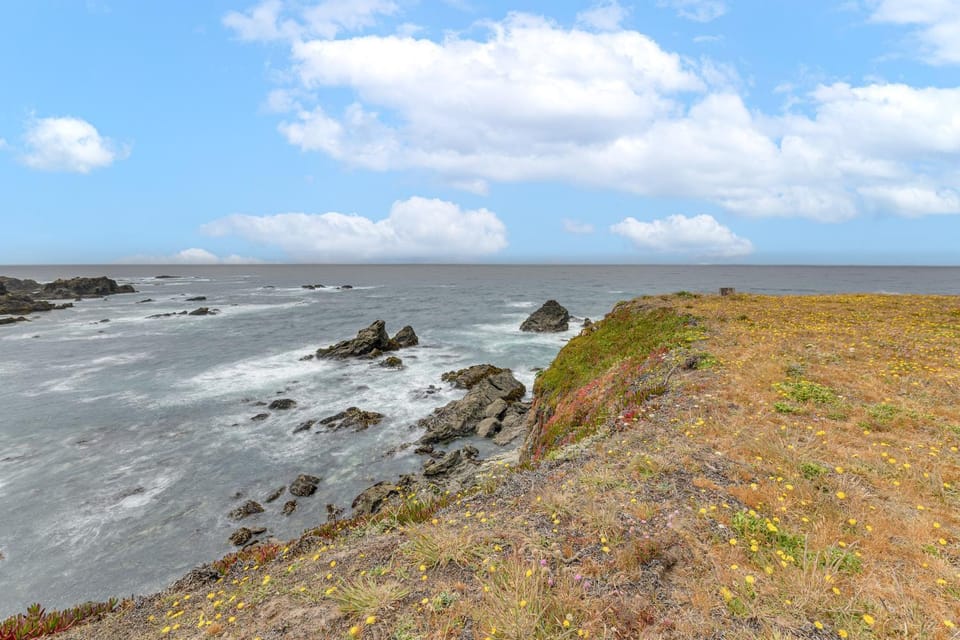 Whale Watch + Stargaze: Luxe Oceanfront Escape! House in Caspar