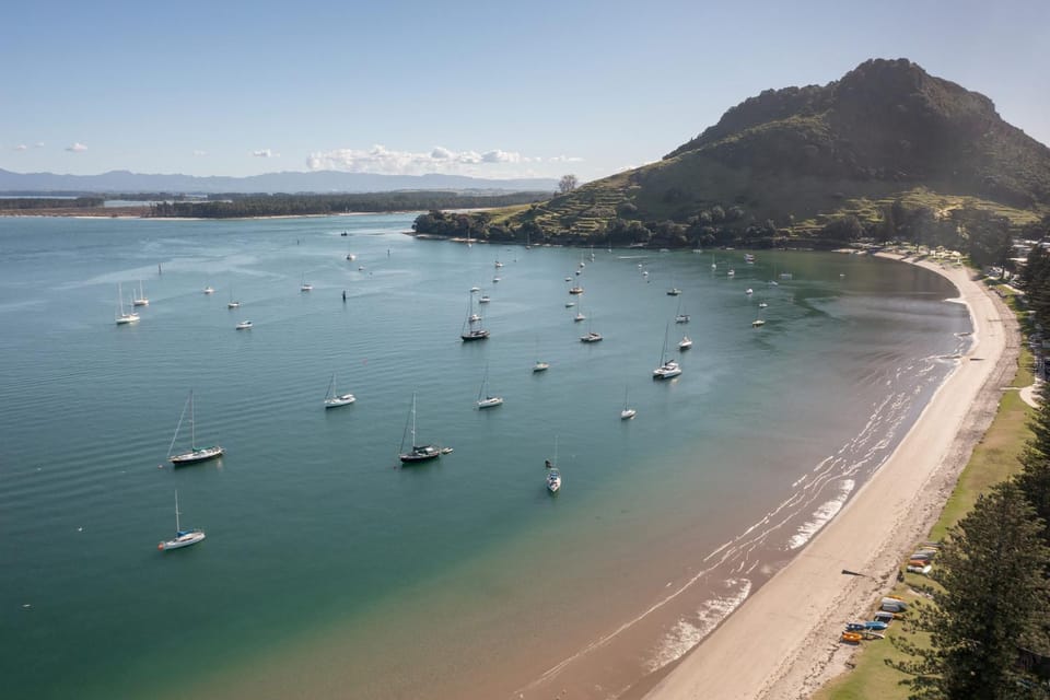 Cosy Mount Base King Bed Ensuite & Top Location Apartment in Bay Of Plenty