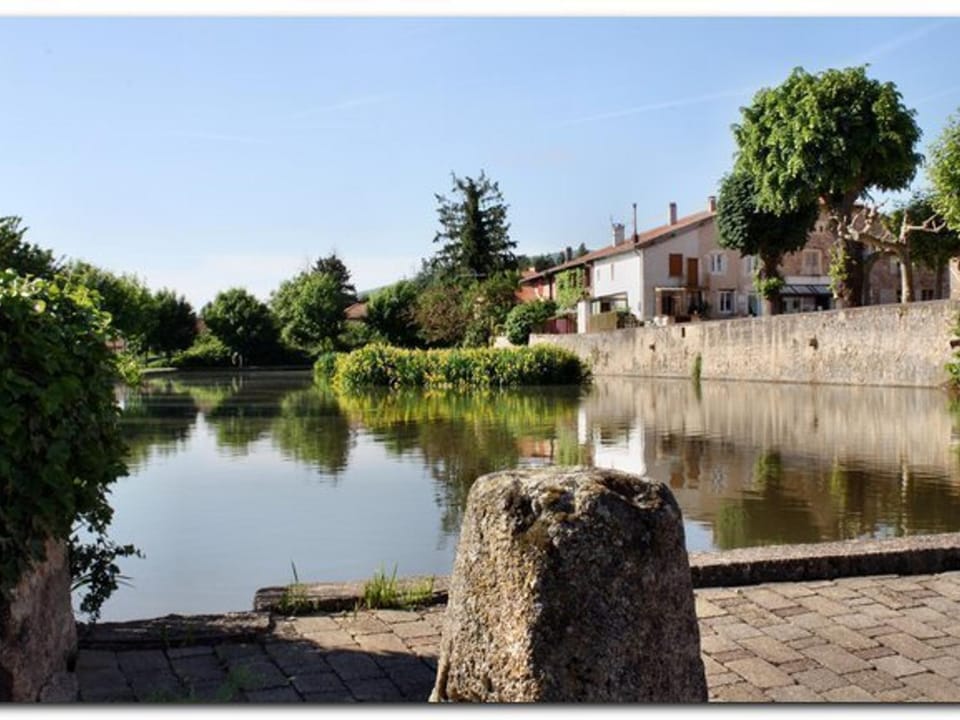 Gîte familial au cœur de la Côte Roannaise - Animaux admis - FR-1-496-366 House in Auvergne-Rhône-Alpes