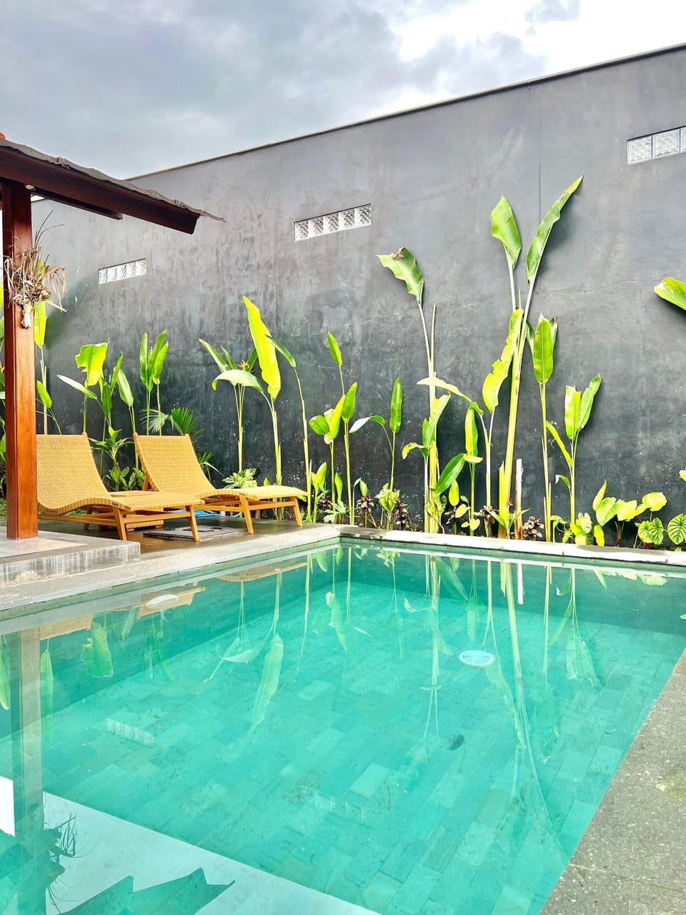 Day, Garden, Garden view, Pool view, Swimming pool, Swimming pool, sunbed
