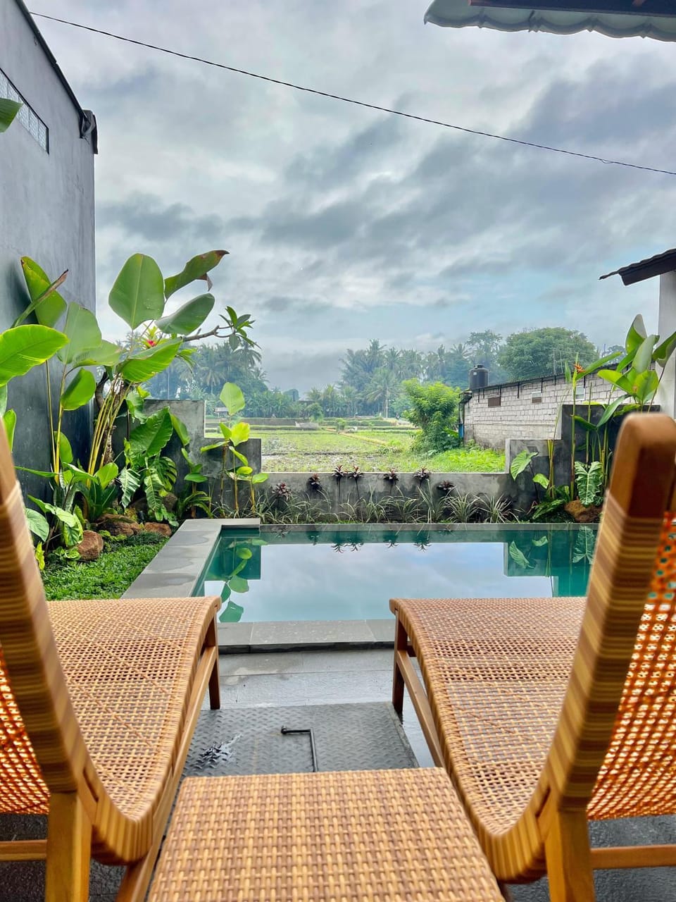 Patio, Day, Natural landscape, Garden, Garden view, Pool view, Swimming pool, sunbed
