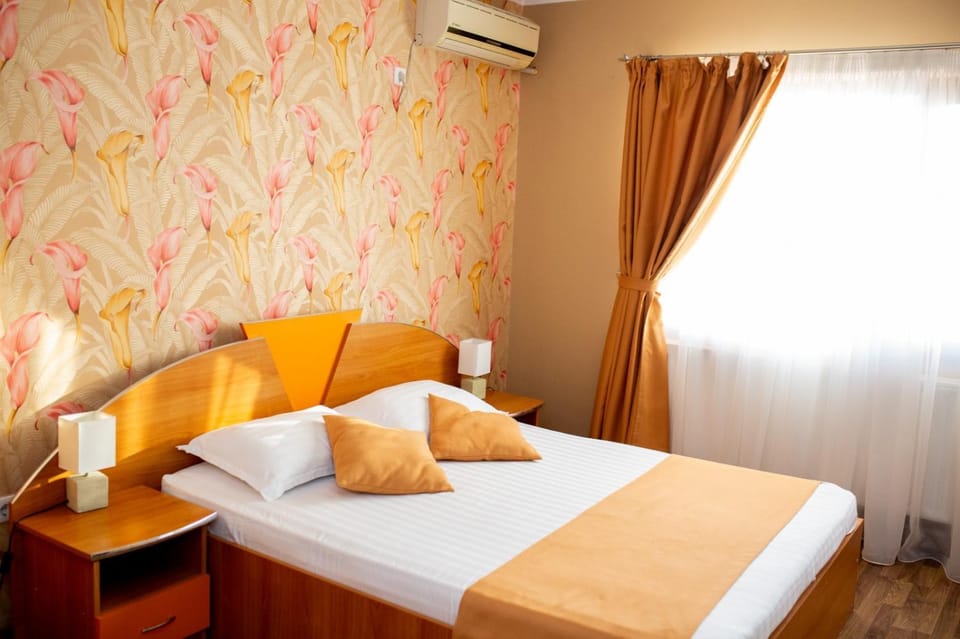 Pensiunea Viitorul Bed and Breakfast in Romania