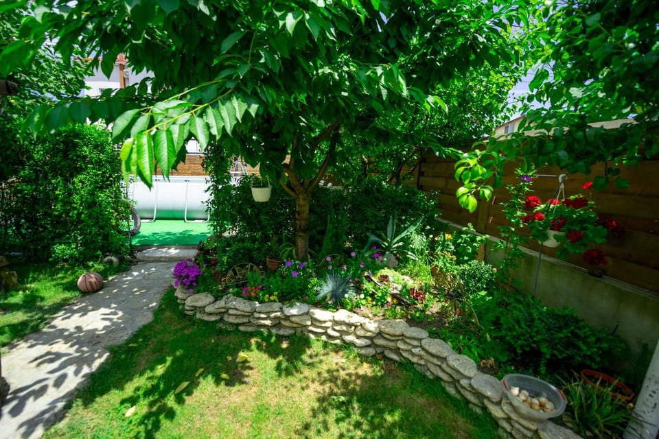 Natural landscape, Garden, Garden view