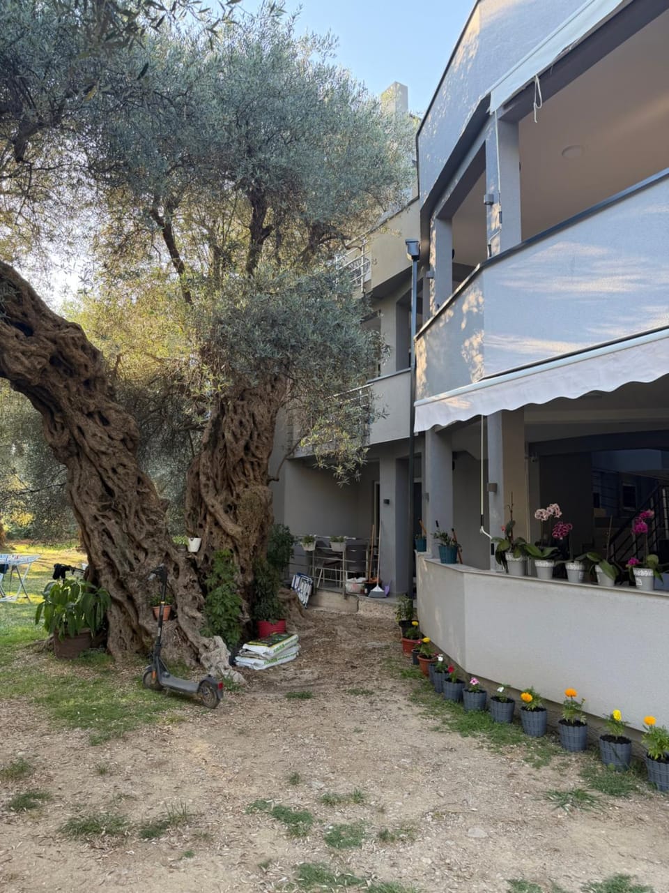 Nana Dea Nature lodge in Ulcinj Municipality
