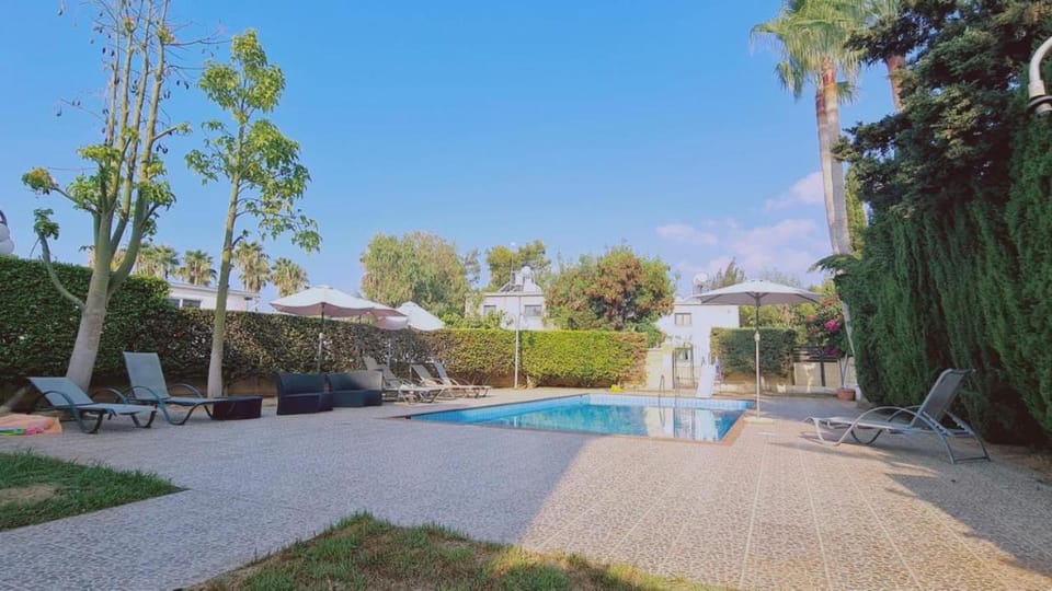 Swimming pool, Swimming pool