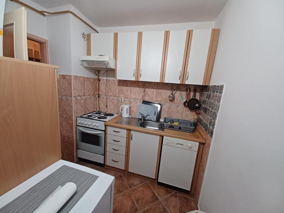 Kitchen or kitchenette, dishwasher, stove