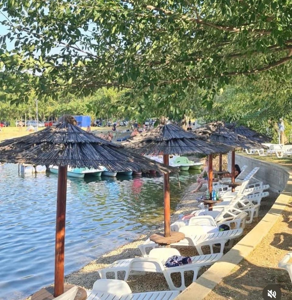 Vila Plaza-1 Apartment in Vojvodina