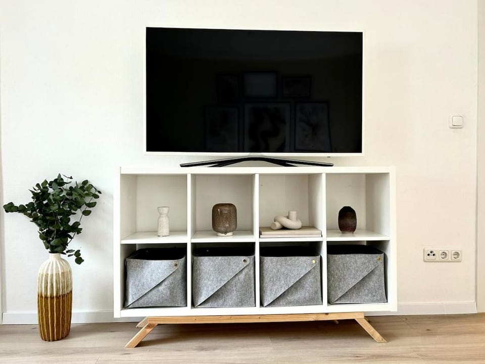 TV and multimedia