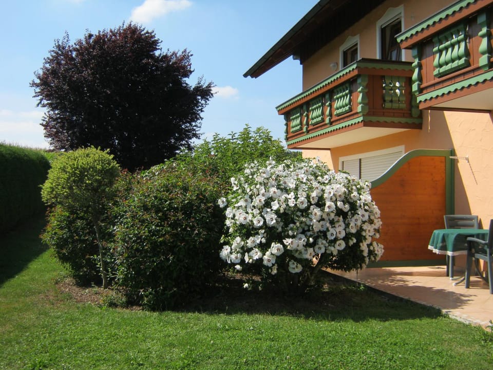 Property building, Garden