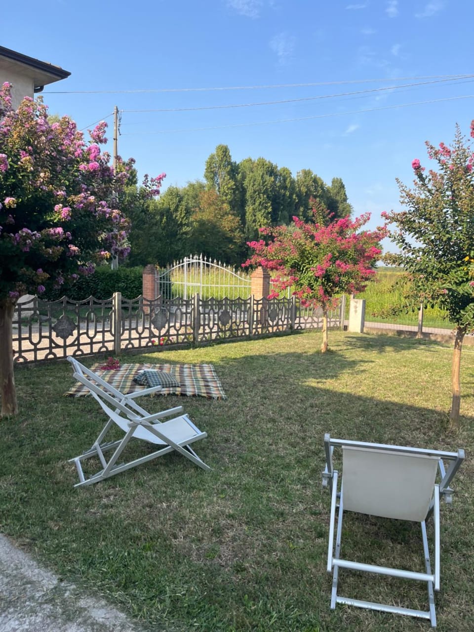 Spring, Day, Natural landscape, Garden, Garden view, sunbed