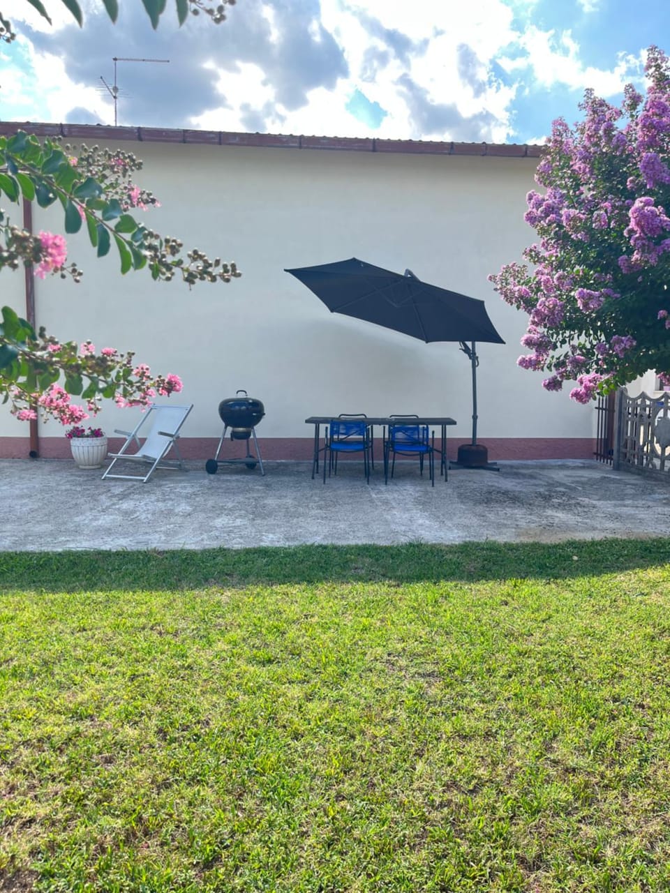 Patio, Spring, Day, Garden, Garden view, sunbed