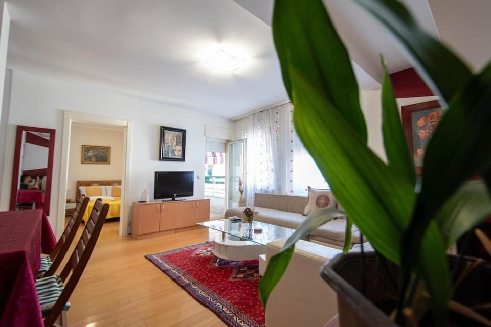 TropicAna - Spacious apartment on great location Apartment in Novi Sad