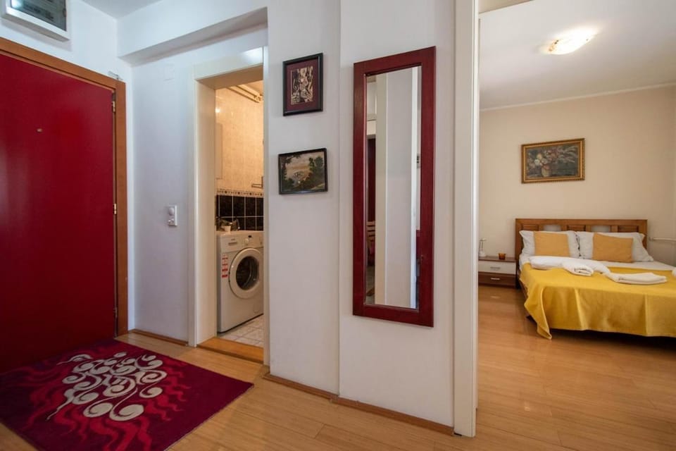 TropicAna - Spacious apartment on great location Apartment in Novi Sad