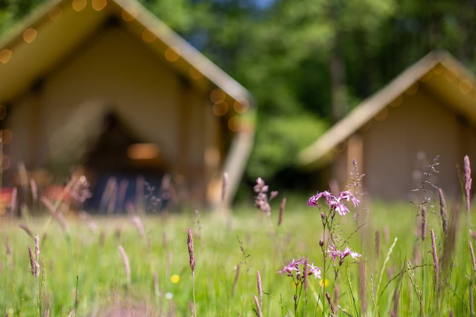 Januszówka - ranczo turystyczne Luxury tent in Pomeranian Voivodeship