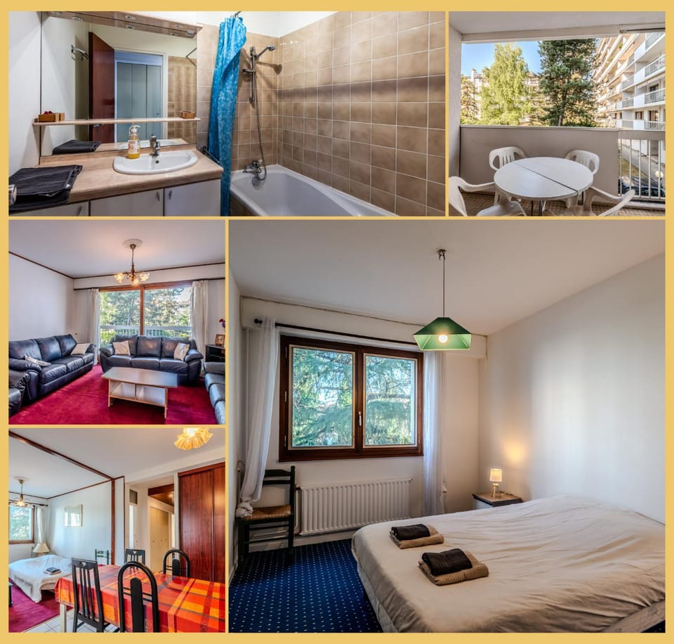Chez Driss I T3 I Annecy Apartment in Annecy