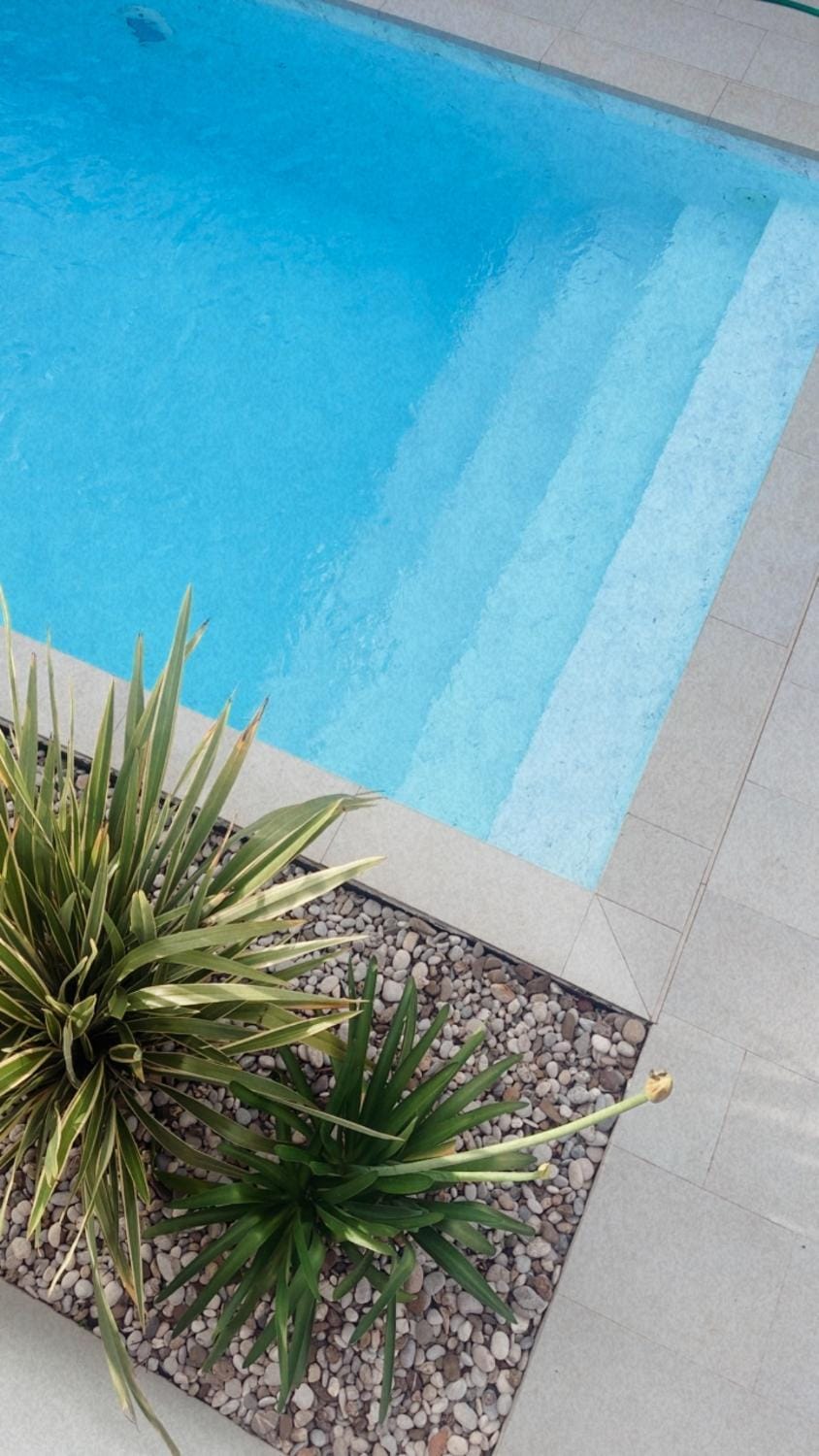 Day, Pool view, Swimming pool