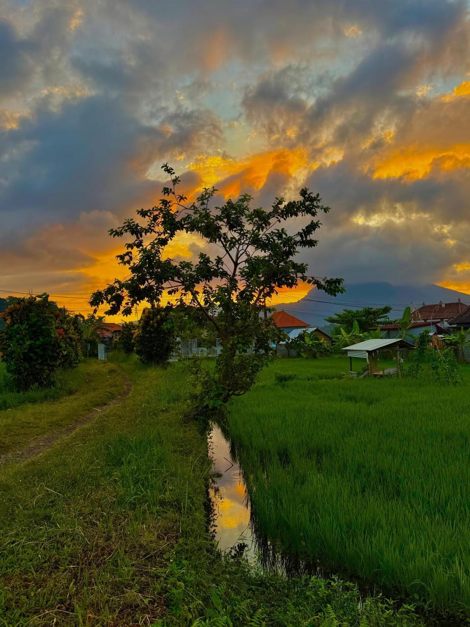 Umaloka Eco Villa Villa in Abang