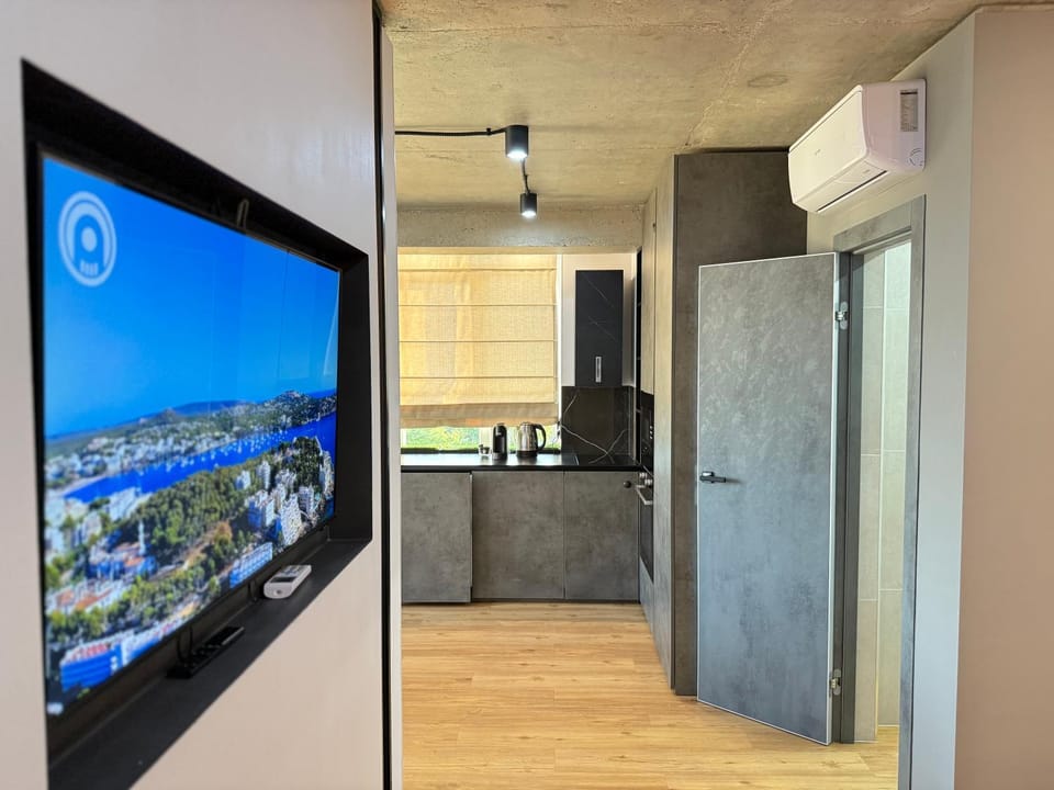 TV and multimedia, oven, stove