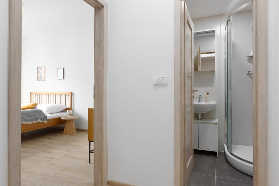 Apartment - 2 bedrooms, kitchen, close to metro Apartment in Prague