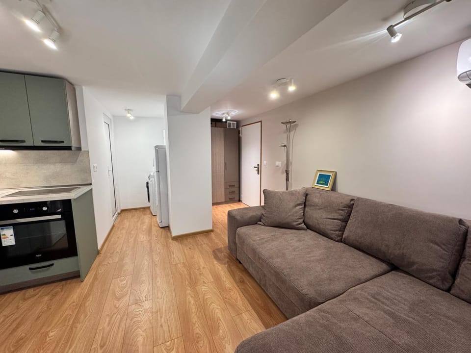 Living room, Bedroom, wardrobe, washing machine, air conditioner