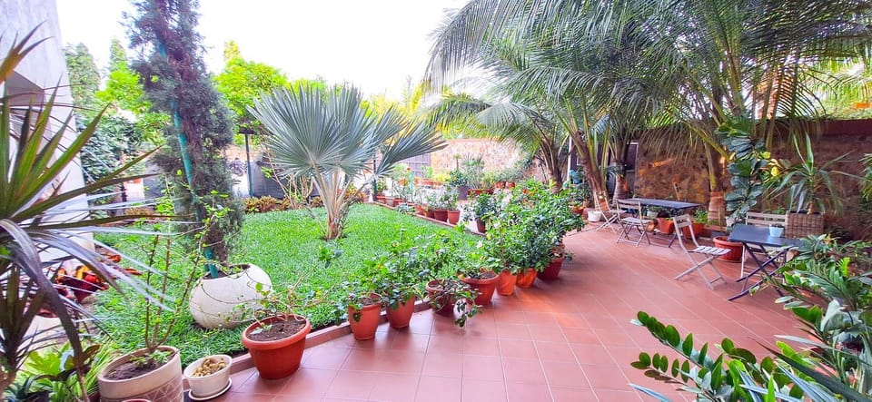 Garden, Garden, Garden view