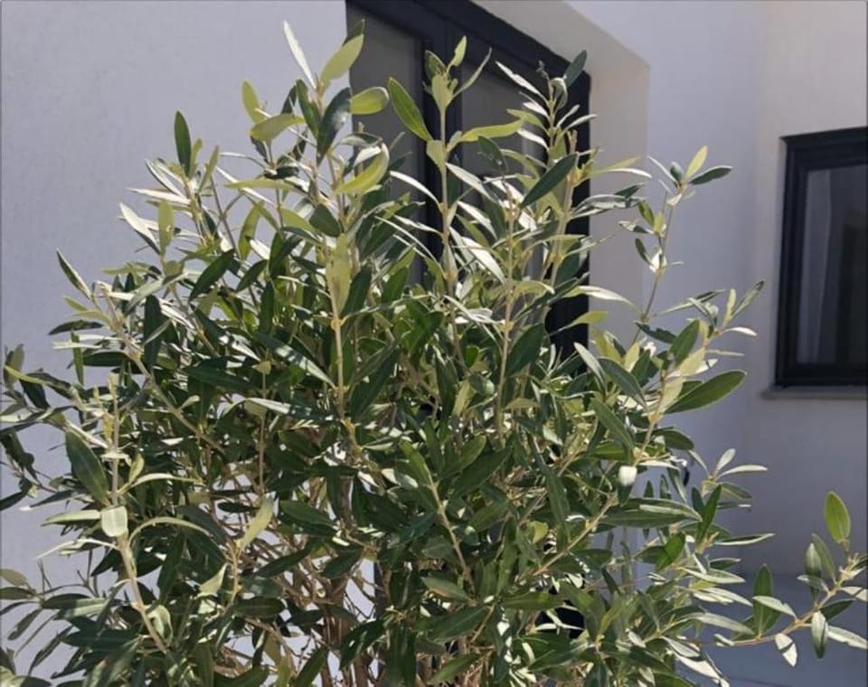 Appartement T2, neuf, vue époustouflante, piscine Apartment in La Cadière-d'Azur
