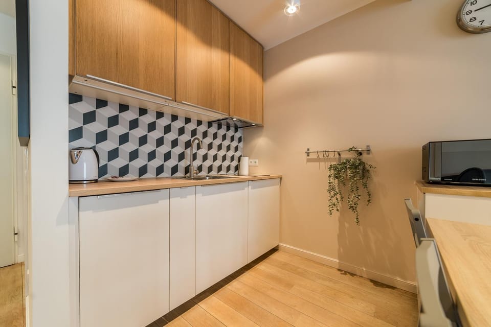 Kitchen or kitchenette, dishwasher, stove