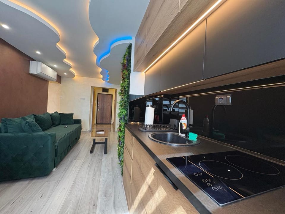 Princ lux spa with sauna and jacuzzi Apartment in Novi Sad