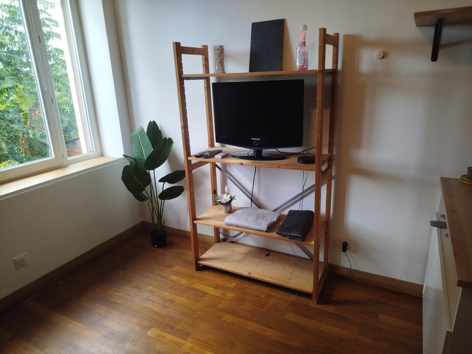 TV and multimedia, internet