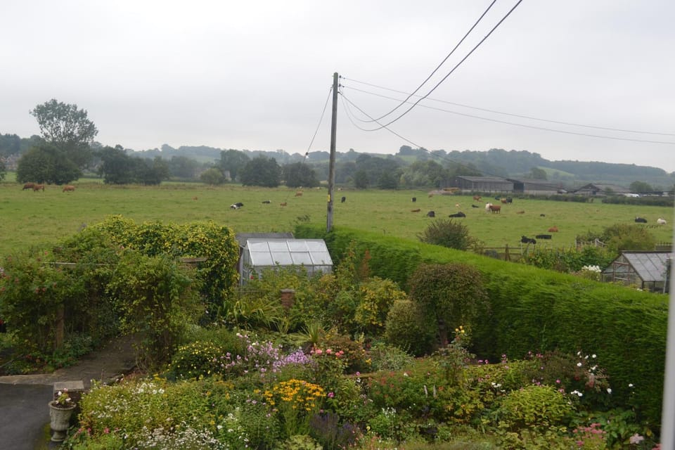 Day, Garden view