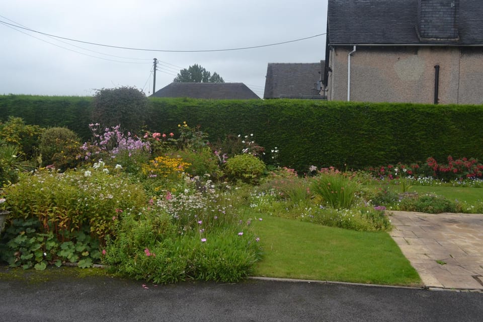 Day, Garden