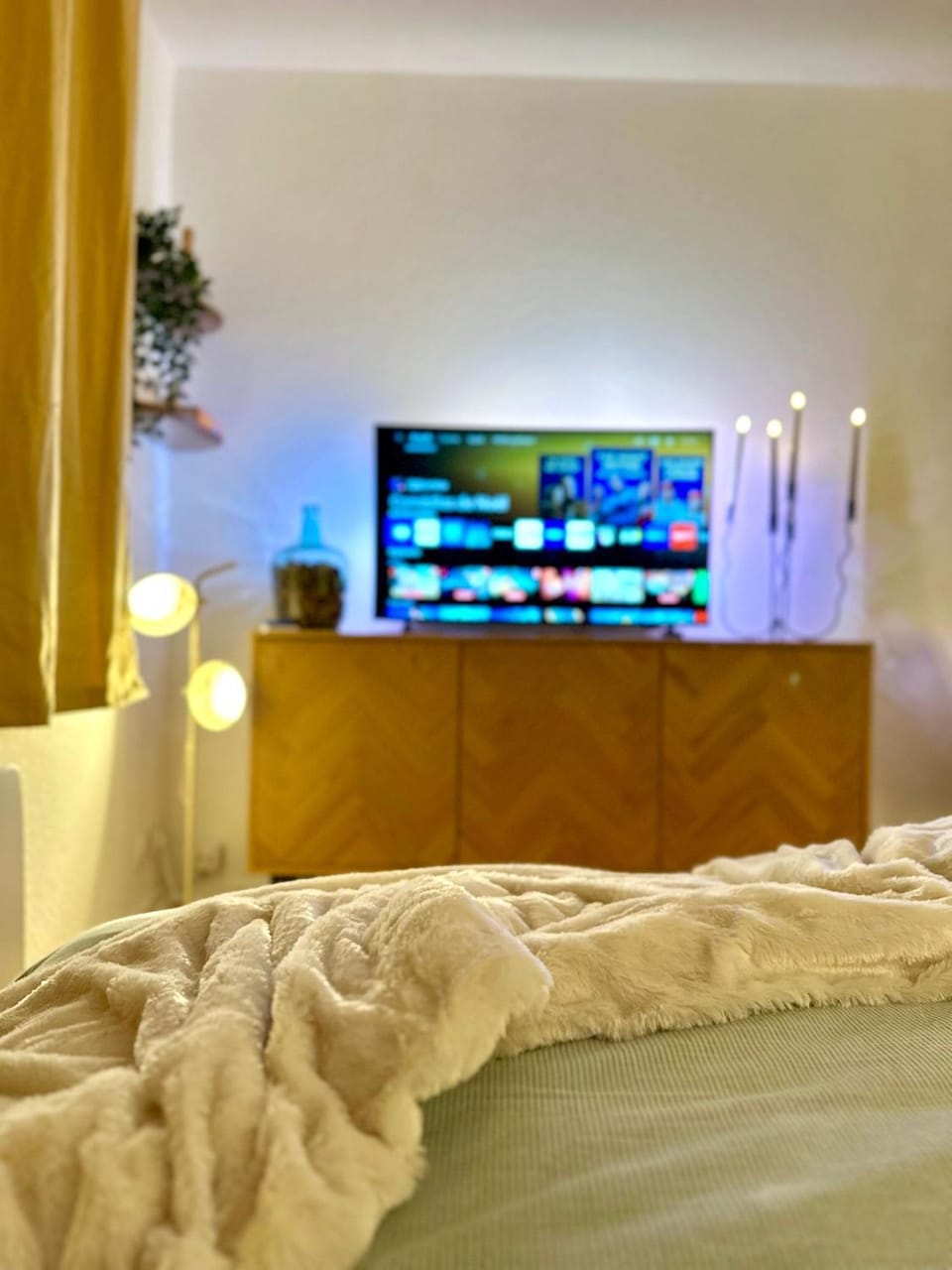 TV and multimedia