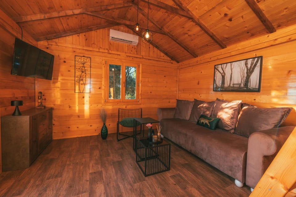 TV and multimedia, Living room, air conditioner