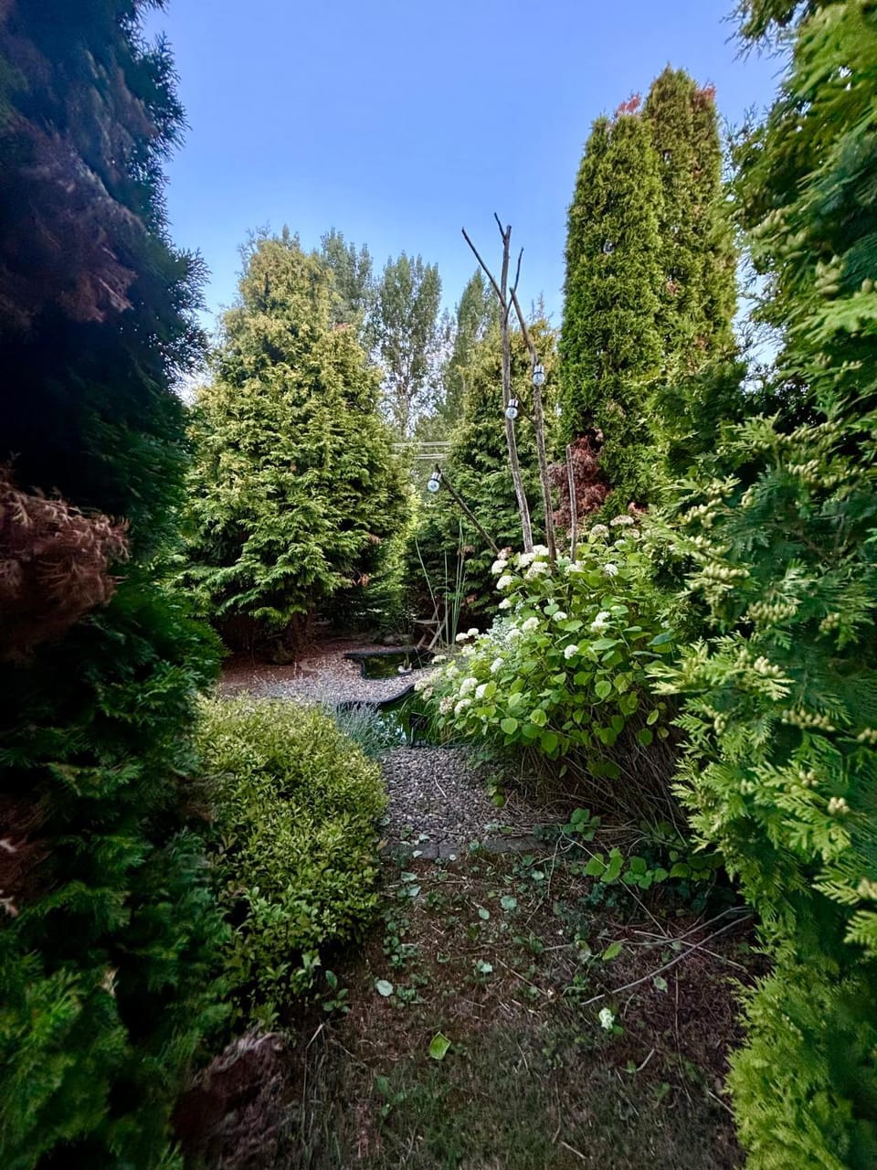 Natural landscape, Garden, Garden view, Lake view