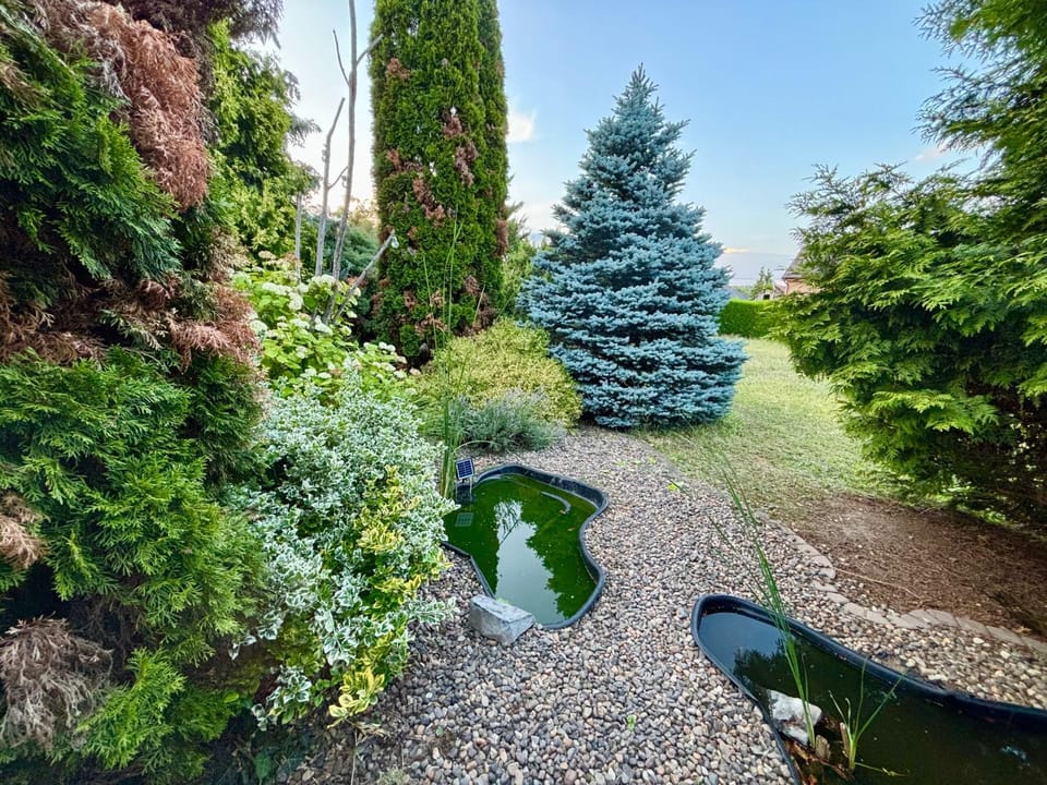 Natural landscape, Garden, Garden view