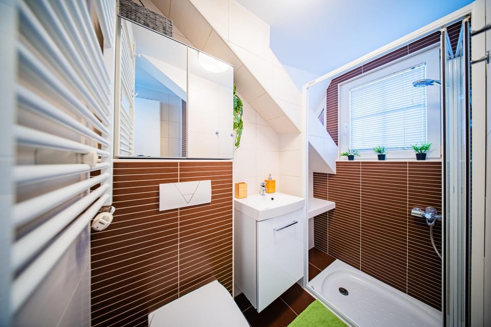 Shower, Toilet, Bathroom, Decorative detail, On site