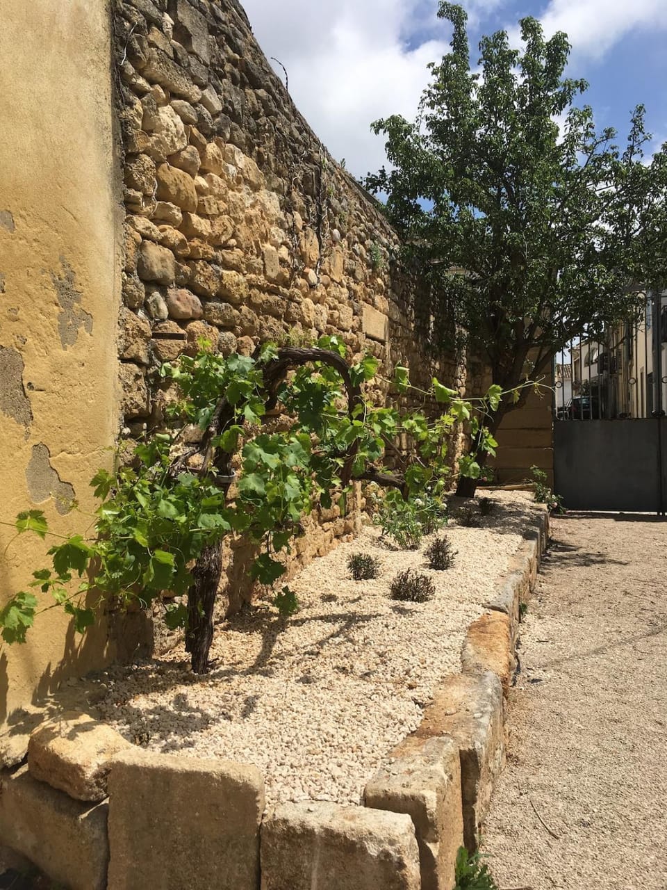 Garden, Garden view