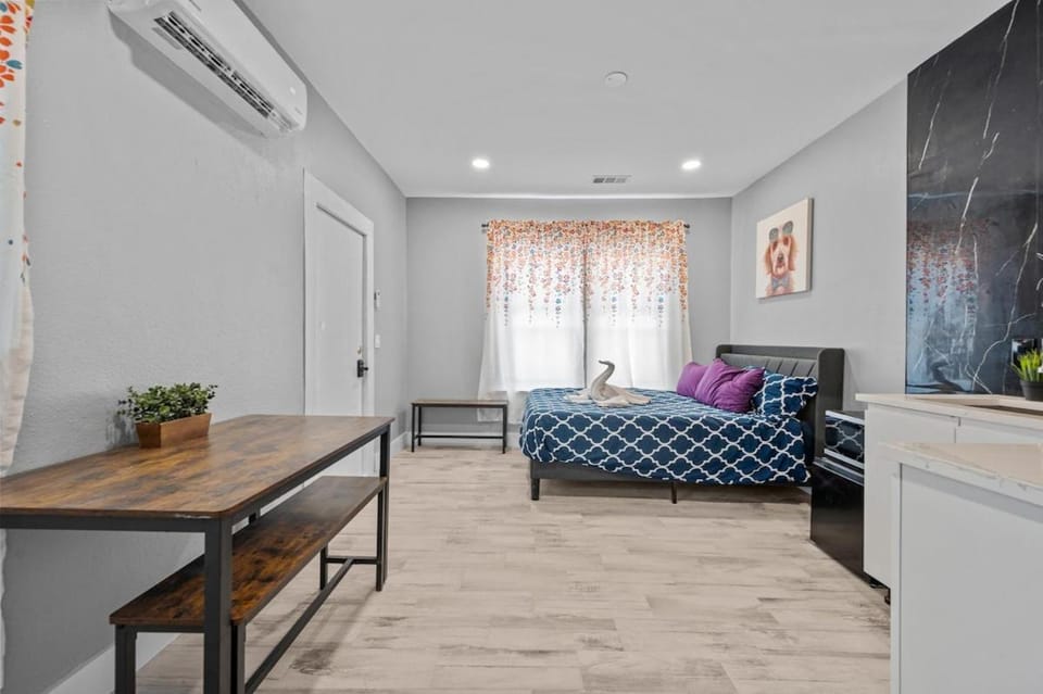 King Bed & Spacious Hideaway for One or Two Apartment in Houston