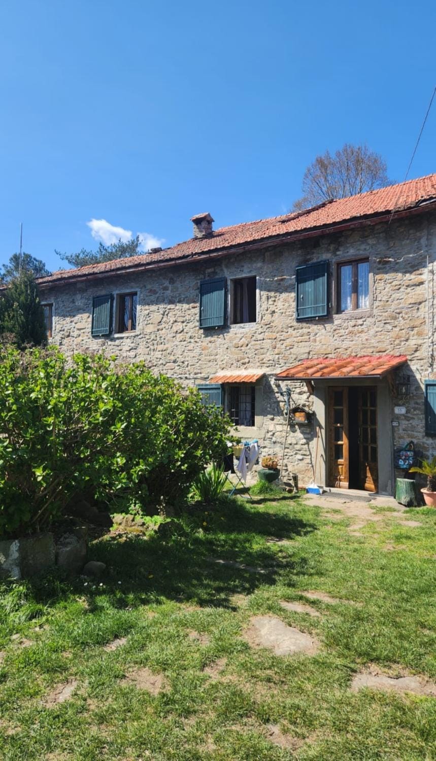 Property building, Garden, Garden view