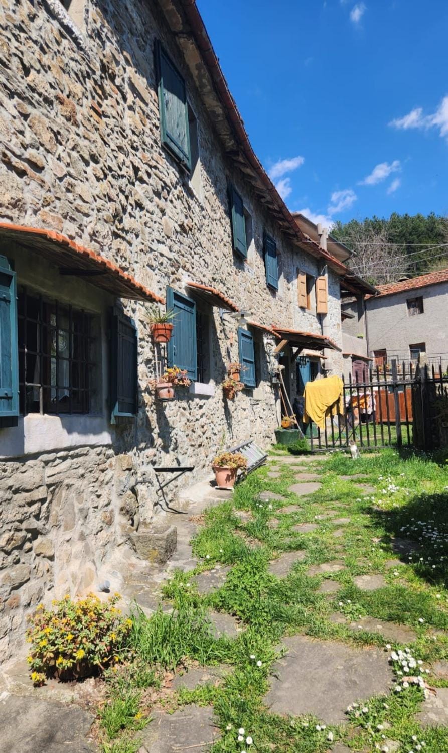 Property building, Garden, Garden view
