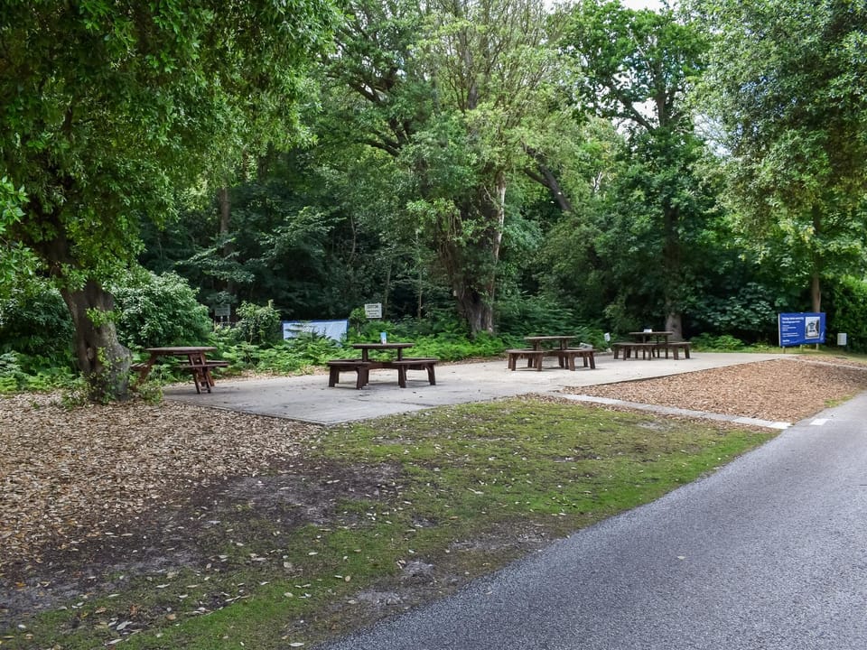 Area and facilities