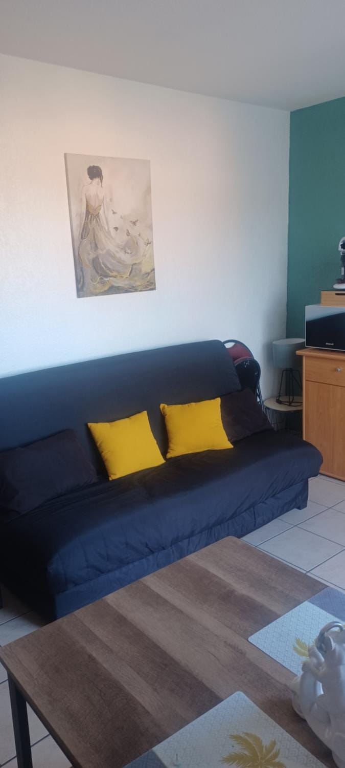 Mirandas 1 Apartment in Saint-Cyprien