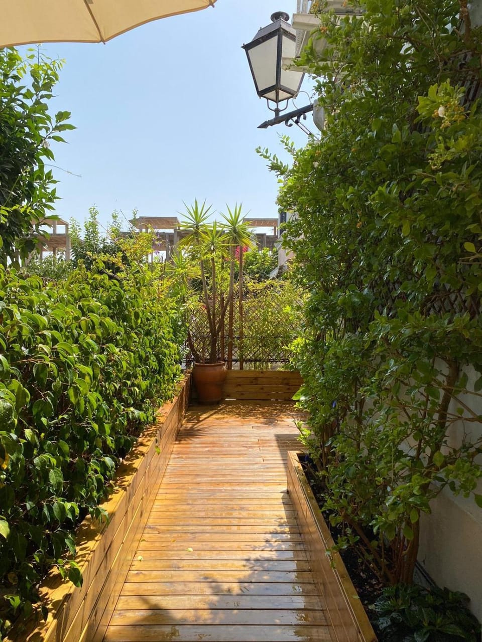 Day, Garden, Garden, Garden view